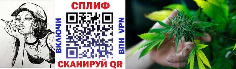 Шишки марихуана планчик Медногорск